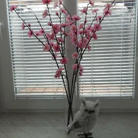 Bb 卢布尔雅那